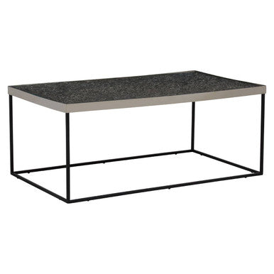 Akola Silver Metal and Glass Coffee Table with Black Legs