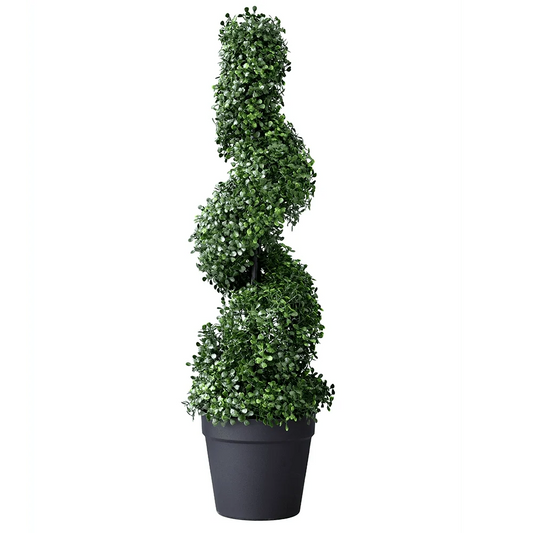 Boxwood Spiral Tree 85cm