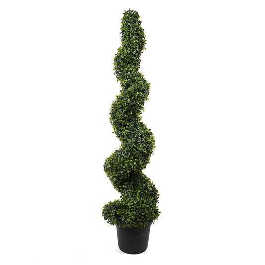 Boxwood Spiral Tree 120cm