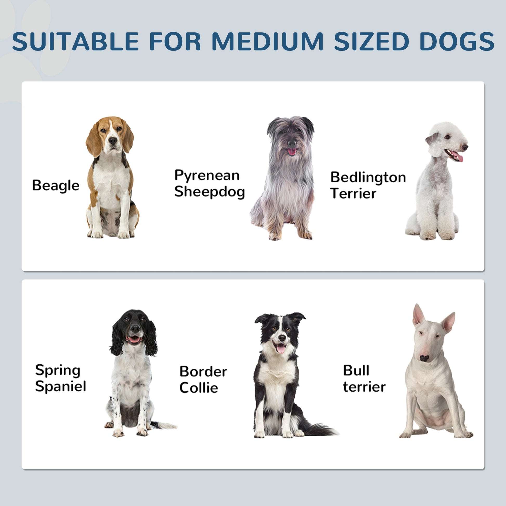 Pet Feeding Station with Raised Dog Bowls, Adjustable Panel, Hooks, Black